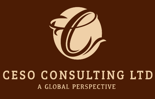 CESO CONSULTING LTD